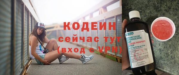 хмурый Горно-Алтайск
