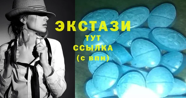 индика Вязьма